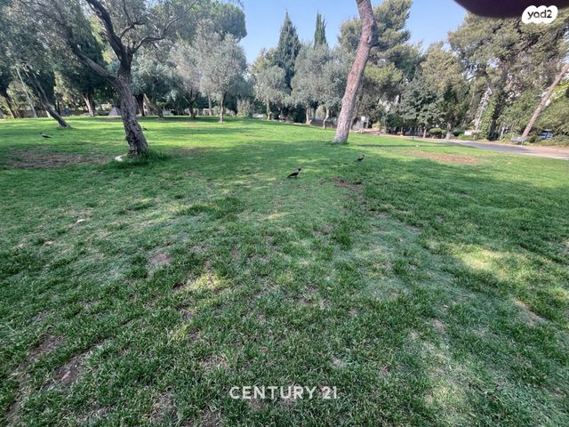 דירה, הורקניה, קטמונים, ירושלים