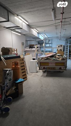 יעקב פריימן 20