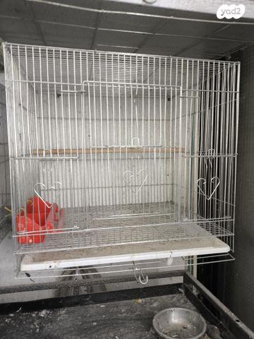 תמונת מודעה - חיות מחמד