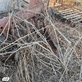 feedItemObj.data.row_1