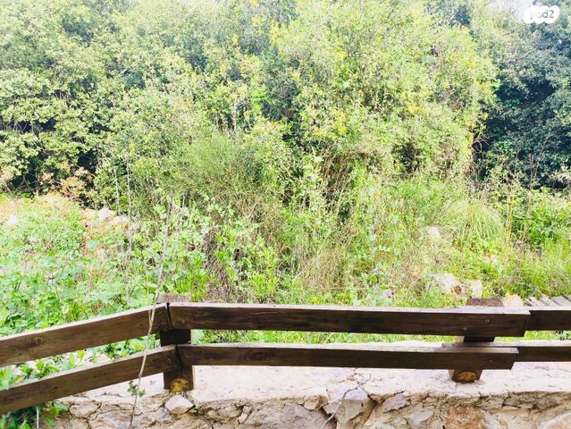 בית פרטי/ קוטג', גינת אגוז 1, חלוץ