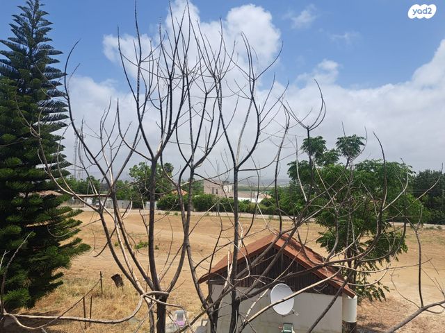 יהודה המכבי 13