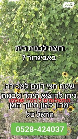 בית פרטי/ קוטג'