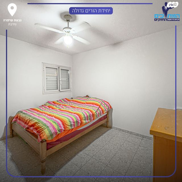 דירה, נתיבות