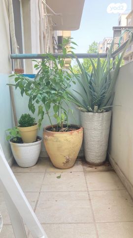 דירה, נחלת בנימין, פלורנטין, תל אביב יפו