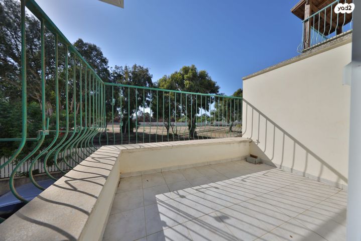 אלכסנדר זייד 23