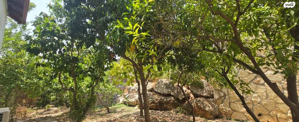 בית פרטי/ קוטג', נוף השרון, מתן, מתן