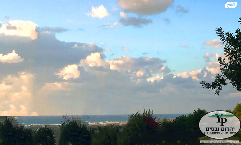 דירת גן, מושבה מרכז, זכרון יעקב