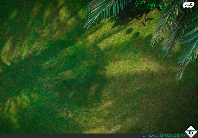 דירת גן, מושבה מרכז, זכרון יעקב