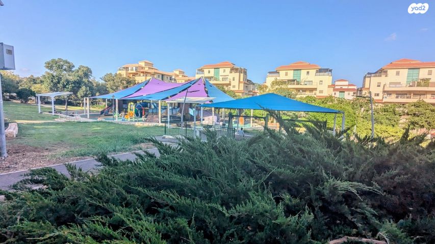 דירת גן, חלומות זכרון, זכרון יעקב