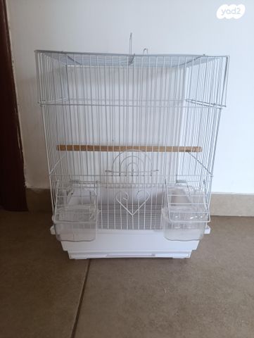 תמונת מודעה - חיות מחמד