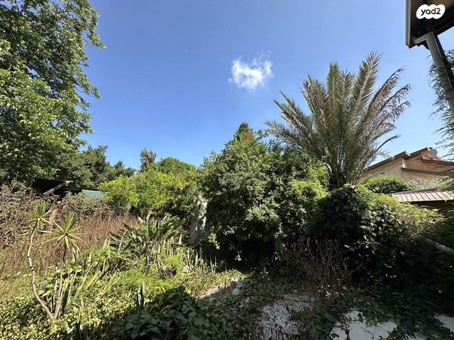 צעירי ציון 45