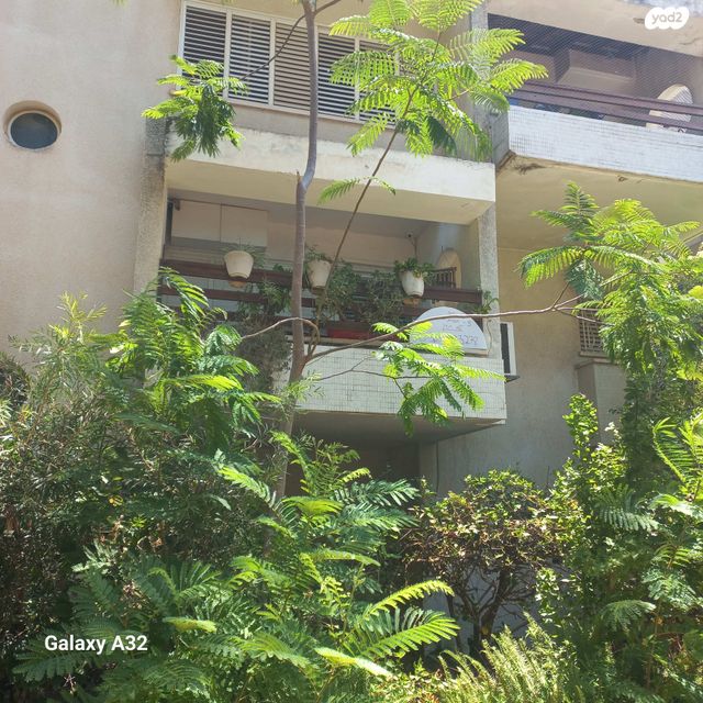 דירה, בן גוריון 14, פועלים א, כפר סבא