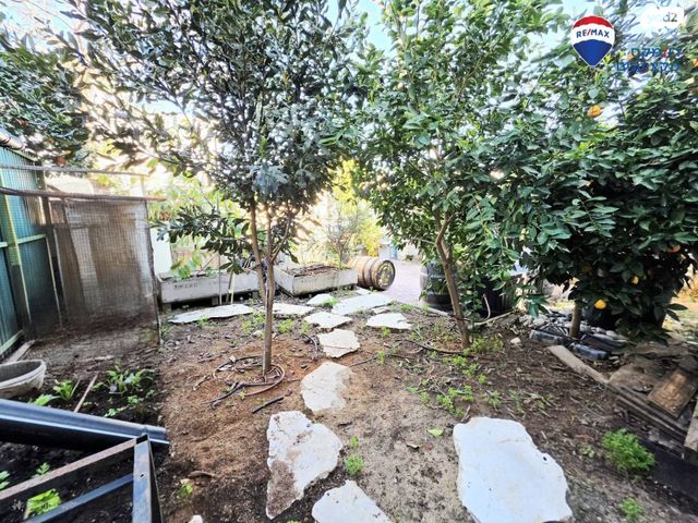 בית פרטי/ קוטג', הלוי, בית אליעזר, חדרה