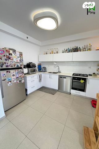 דירה, האנפה, החותרים, טירת כרמל