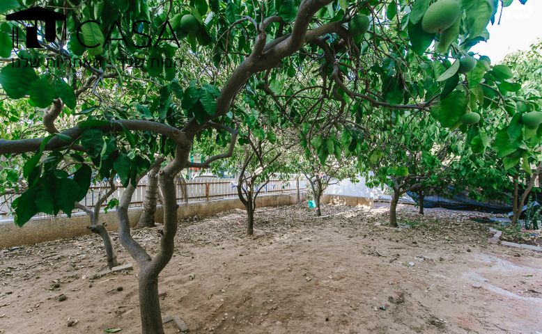 דירת גן, הבשן, רמז, מערב ותיק, ראשון לציון