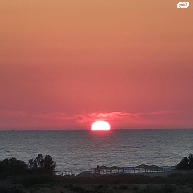 שדרות דוד המלך 