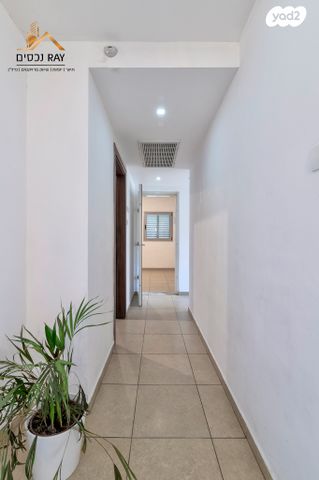 דירה, הדוגית, נאות רבין, יבנה