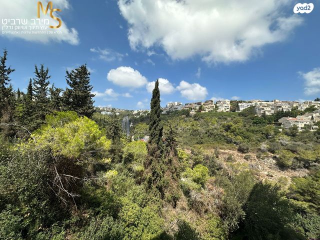 דירה, קרן היסוד, רוממה, חיפה