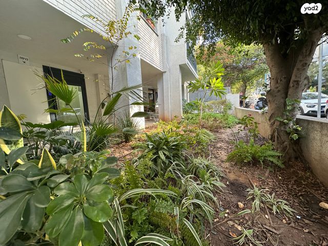 דירה, יהודה המכבי 45, הצפון החדש - צפון, תל אביב יפו