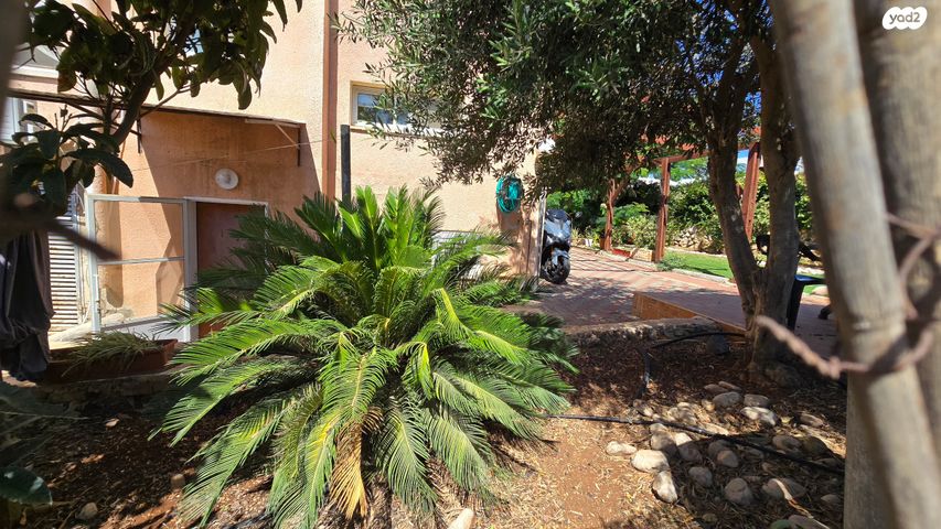 בית פרטי/ קוטג', נופך, נווה אורנים, צפת