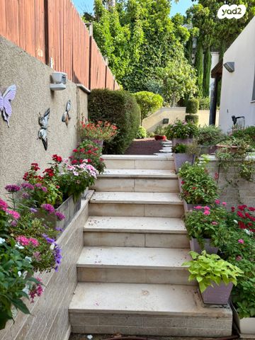 הוד הכרמל, דניה