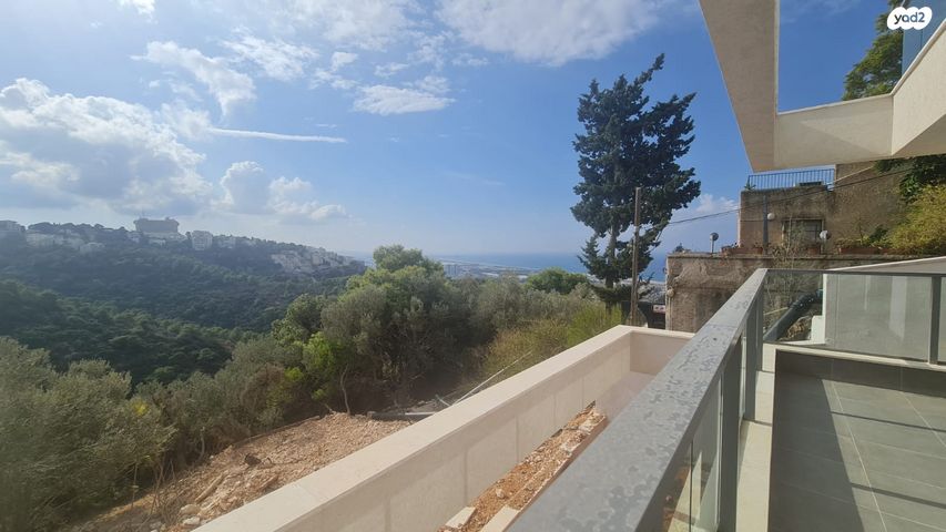 דירה, כרמליה, חיפה