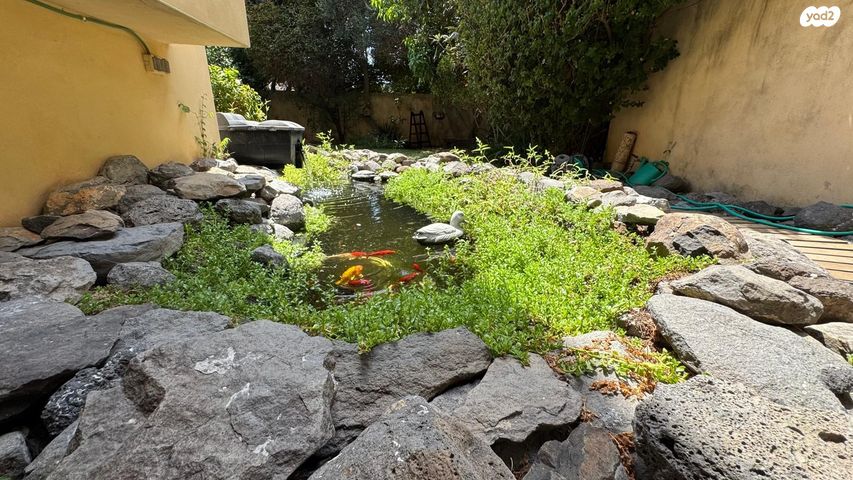 בית פרטי/ קוטג', נווה מגן, רמת השרון