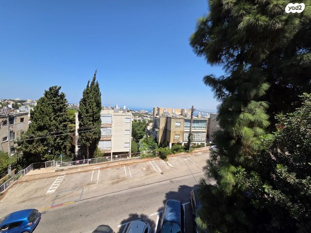 דירה, אלברט איינשטיין, אחוזה, חיפה