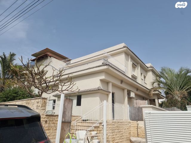 הרב דוד ישראל 