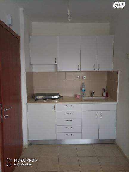 אלכסנדר ינאי 17