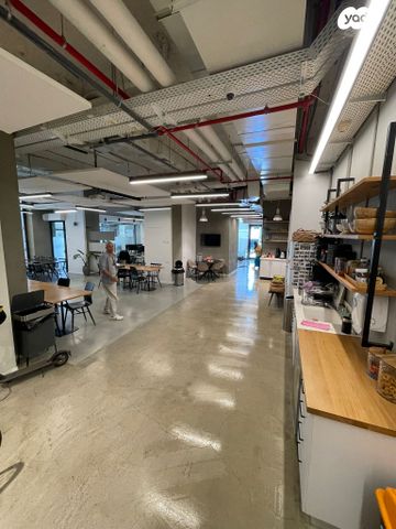 אליעזר קפלן 