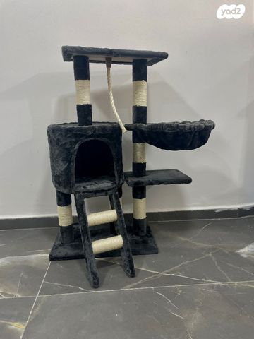 תמונת מודעה - חיות מחמד