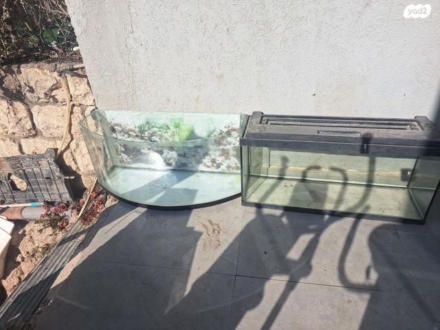 תמונת מודעה - חיות מחמד