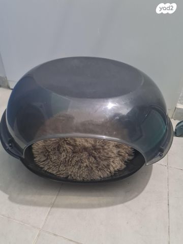 תמונת מודעה - חיות מחמד