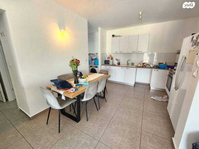 גג/ פנטהאוז, חריש