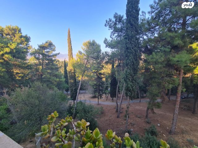 דירה, כרמיאל