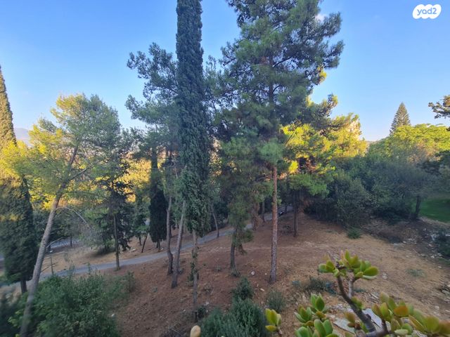 דירה, כרמיאל