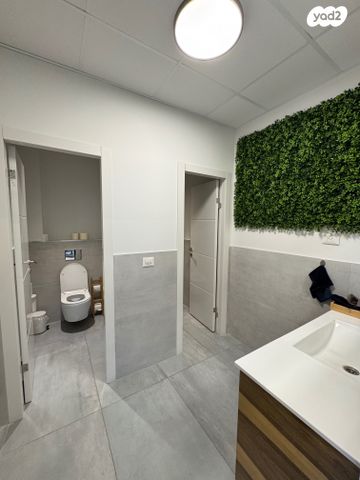 משרדים, תוצרת הארץ, סטארטסיב / רמת סיב, פתח תקווה