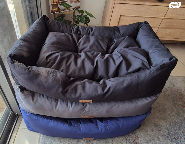 תמונת מודעה - חיות מחמד