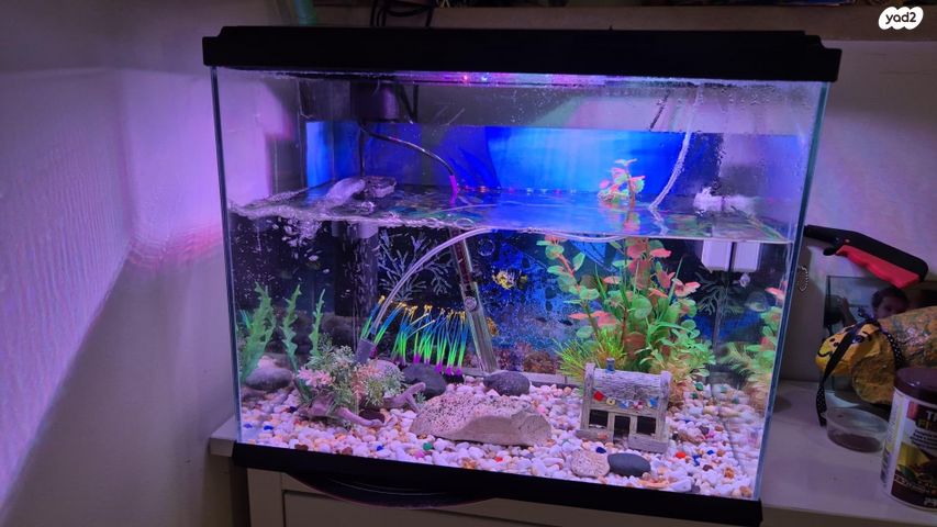 תמונת מודעה - חיות מחמד