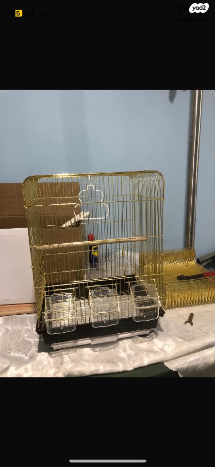 תוכי קוקוטייל