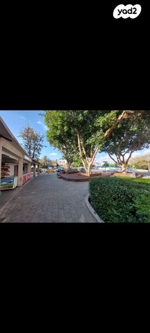 דירה, דב ממזריץ' 24, צהלון, שיכוני חסכון, תל אביב יפו