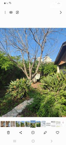 בית פרטי/ קוטג', יוסף צבי 17, תל גנים, רמת גן