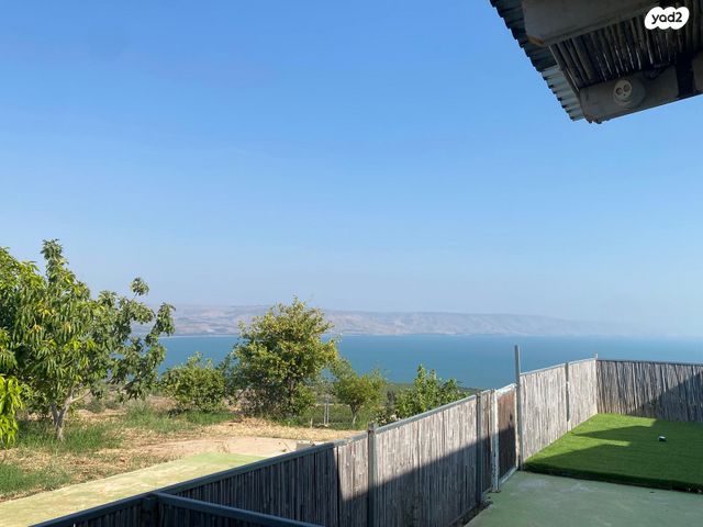 יחידת דיור, האלה 1, אמנון, אמנון