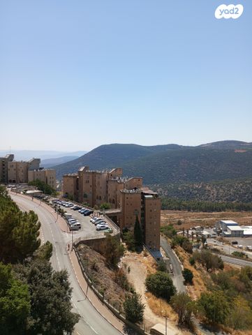 דירה, צה"ל 11, דרום, צפת