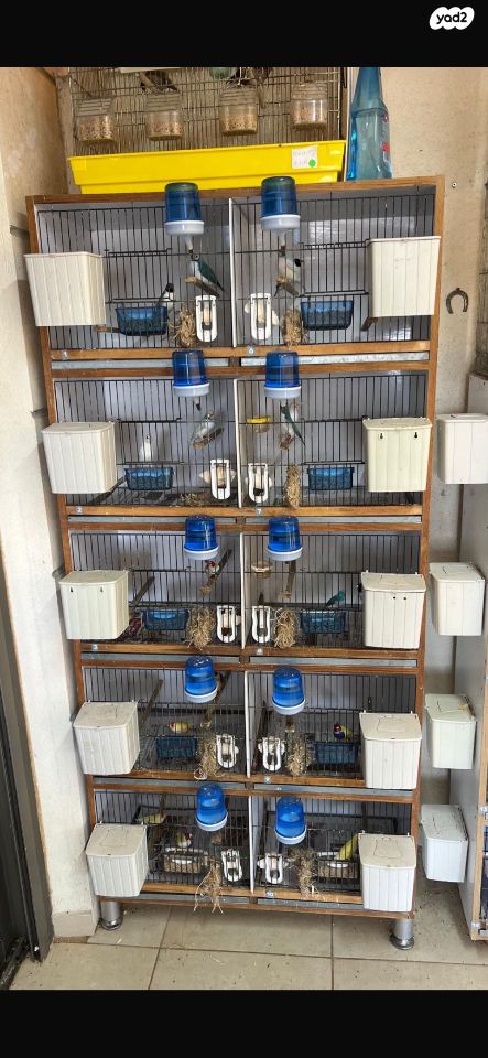 תמונת מודעה - חיות מחמד