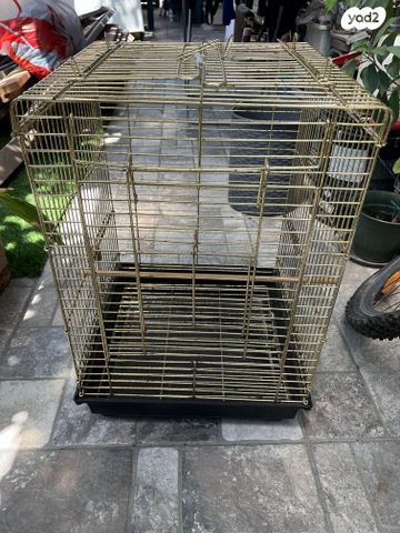 תמונת מודעה - חיות מחמד