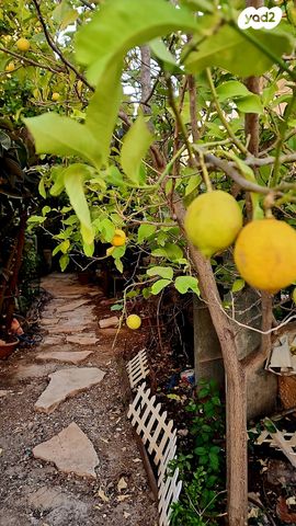 דירת גן, הערבה 29, רובע ג', אריאל