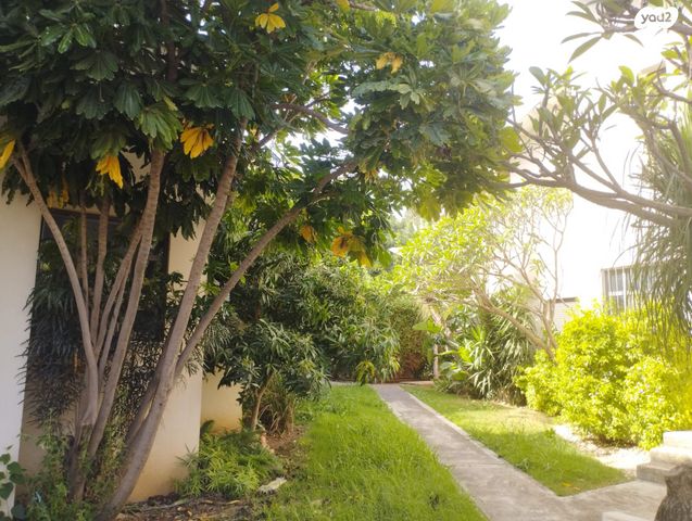 דירה, יוסף טרומפלדור 5, שיכון ב', קרית שמונה